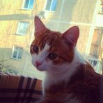 Никита Воробьев - @ray_kroll - Instagram