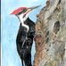 Ray LaChance - Facebook