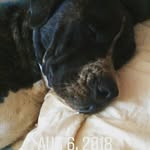 ray lance - @raylance99 - Instagram
