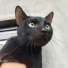 Ray Lance - @ray.lance4 - TikTok