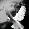Raylance - @raylanceaf - TikTok