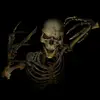 user7695731647650 - @raylance1973 - TikTok