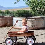 Rayland’s Ranch - @raylandsranch - Instagram