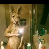 Ray Lara - @ray.lara42 - TikTok