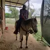 raylara965 - @raylara965 - TikTok