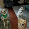 Ray Larson - @ray.larson - TikTok