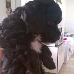 Raymonde Laskowski - Facebook