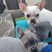 Ray Lavigne - Facebook