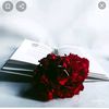 امواج البحر - @raylawson0 - TikTok