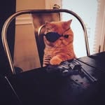 Raymond Leary - @ray.leary - Instagram
