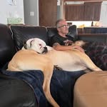 Ray Levesque - @raylevesque56 - Instagram