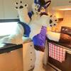 Raylight - @raylight_husky - TikTok