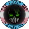 Raylight - @ray_light_cat - TikTok