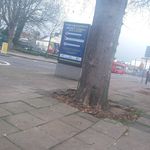 ray linton - @raylinton137 - Instagram