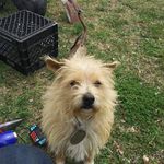 Ray Lipscomb - @ray.lipscomb.71 - Instagram