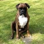 Ray Lloyd - @ray_lloyd1944 - Instagram