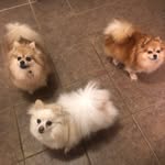 Steve - @ray.lloyd.520900 - Instagram