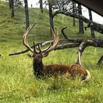 Ray Lockard - @ray_lockard - Instagram