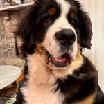 Ray Locke - @ray665403 - Instagram