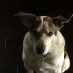 Ray Loftin - @harsdad - Instagram