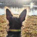 Remington Ray Lofton - @remington_ray23 - Instagram