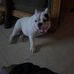 Ray Lott - Facebook
