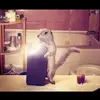 Raylought - @raylought - TikTok