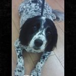 Ray Lovell - @raylovell47 - Instagram