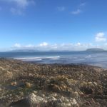 Ray Lynch - @raylynch51 - Instagram