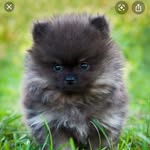 @ray_lyon64 - Instagram