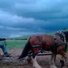 raymackey421 - @raymackey421 - TikTok
