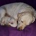Ray Maher - Facebook