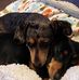 Ray Manley - Facebook