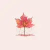 Maple Ray - @maple_ray - TikTok