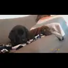 💕Tᴜᴄᴋᴇʀ ᴀɴᴅ ᴍᴀᴘʟᴇ💕 - @tucker.ray_maple.rain - TikTok