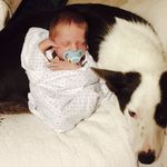 Ray massie - @massiefarm - Instagram