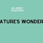 Nature's Wonders - @raymathis70 - Instagram