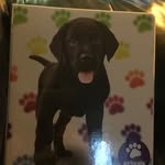 Rayanna mayhew - @rayannamayhew1647 - Instagram