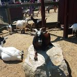 Ray McAllister - @rmcallister1205 - Instagram