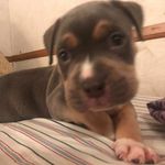 Christopher Ray Mcelroy - @christopherraymcelroy - Instagram