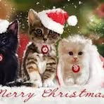 Ray McGavran - Facebook
