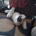 Ray Mckee - Facebook
