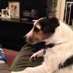 Ray Mckenna - @ray.mckenna1 - Instagram