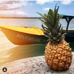 Ray Mckenzie - @mr_teddy_adventure - Instagram