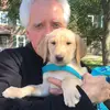 Ray Mckenzie Harpo - @ray.mckenzie.harp - TikTok