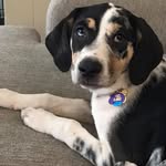 Ray McKey - @raymckey - Instagram