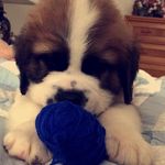 Ray McNamara - @ray.mcnamara - Instagram