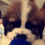 Ray McNamara - @ray.mcnamara.923 - Instagram