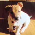 Ray McNamara - @raymond_mcnamara56 - Instagram