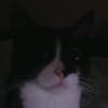 raymcnaughton7 - @xtimewasterx0001 - TikTok